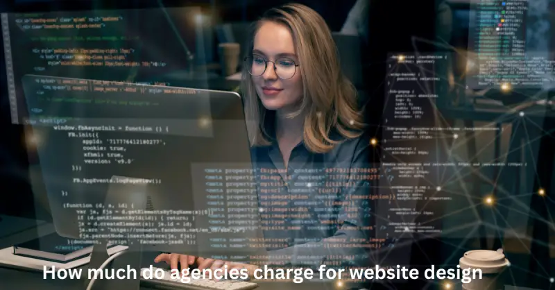 how much do agencies charge for website design
