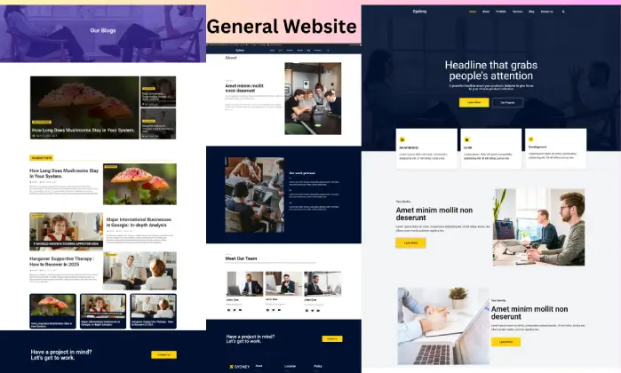 general website