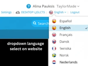 dropdown language select on website