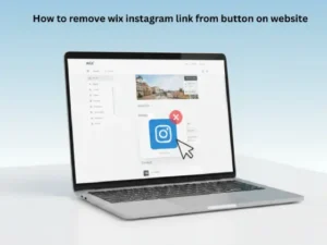 how to remove wix instagram link from button on website